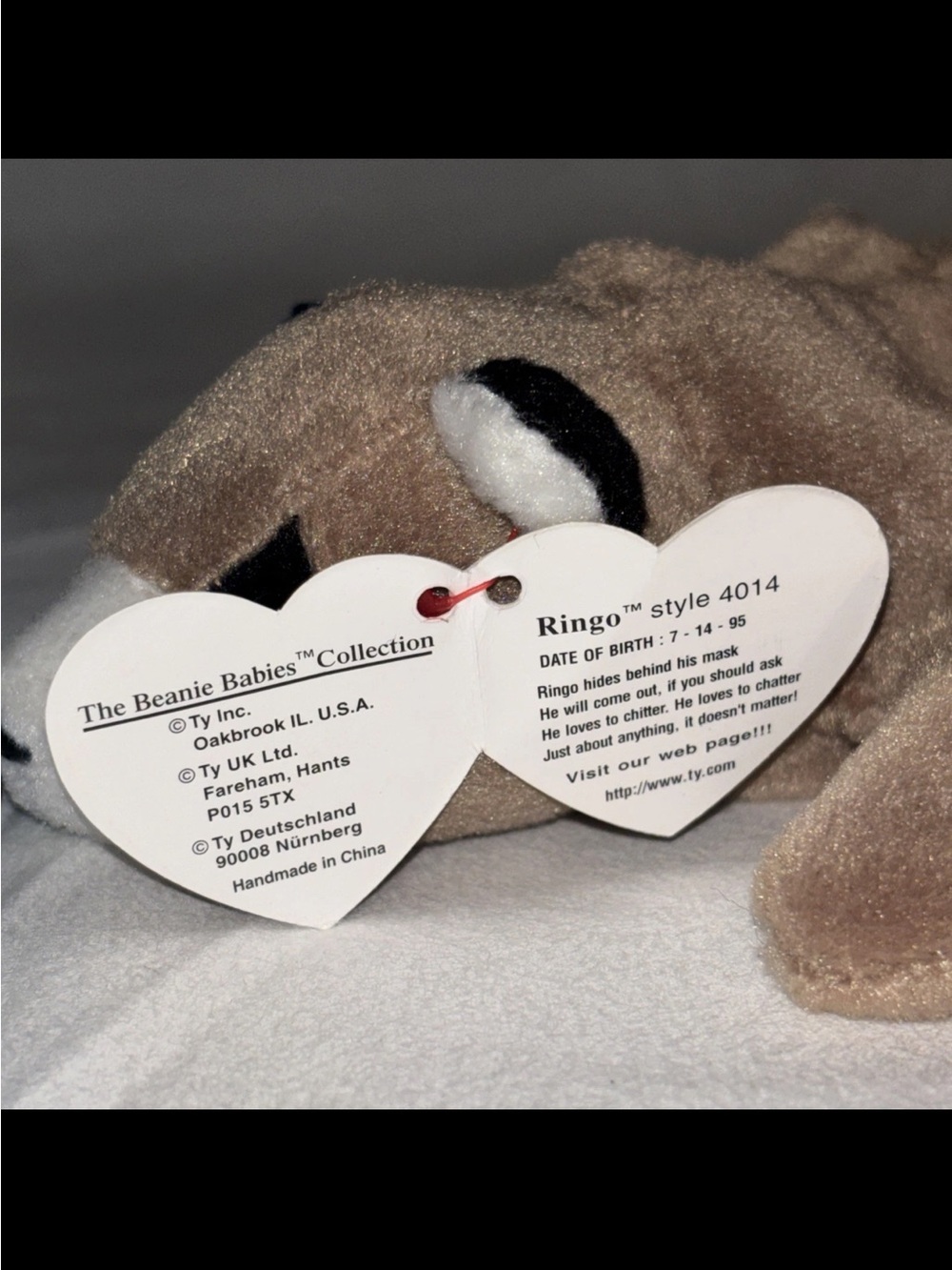 Ty Beanie Baby Ringo the Raccoon Plush - Picture 2 of 4